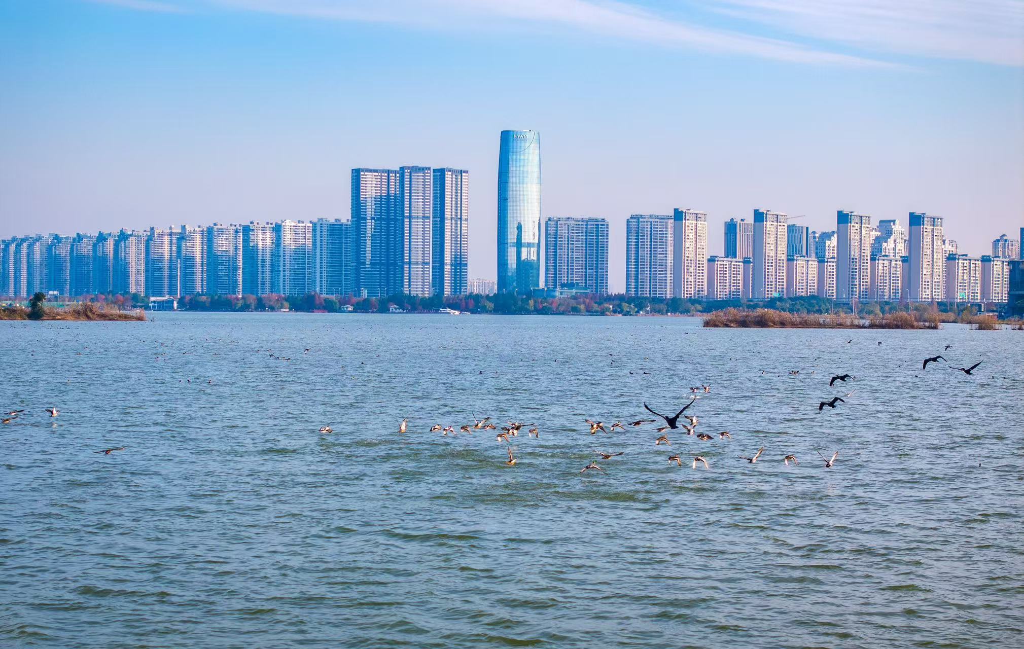 1735194452259137.jpg 1735194452259137.jpg